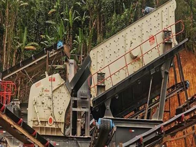 ore beneficiation plant suppliers in china